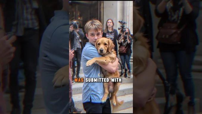 She Said the Service Dog Was Dangerous — The Court’s Response Shocked Everyone