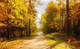 Grandma's final photo of granddaughter minutes before she's killed