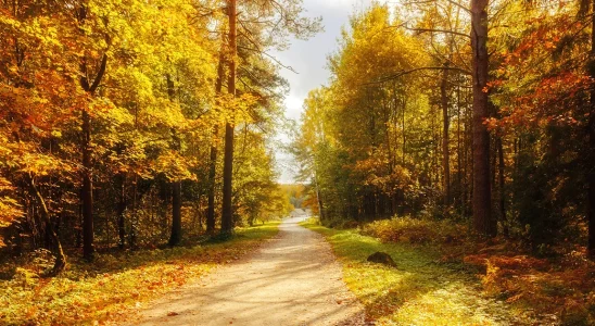 Grandma's final photo of granddaughter minutes before she's killed