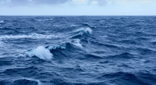 Teen boy drowns while saving four young children from powerful currents – his family reveals his legacy