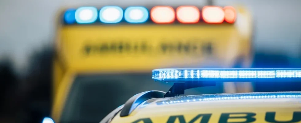 Entire family dies due to suspected budbeg spray poisoning