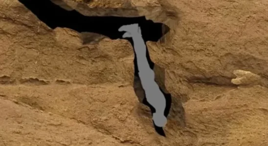 Harrowing final words of man who died 'worst death ever'