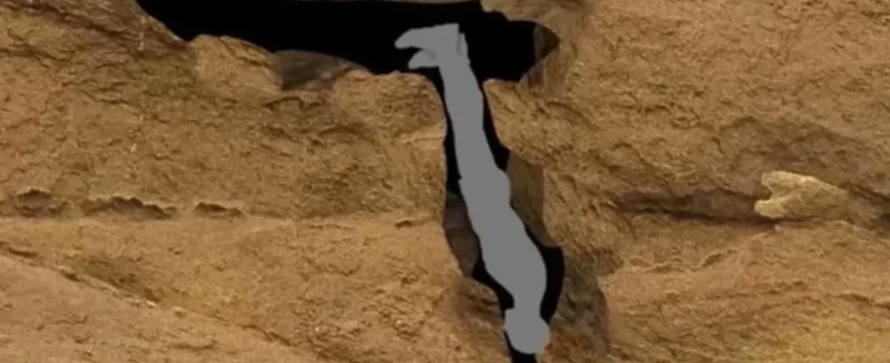 Harrowing final words of man who died 'worst death ever'