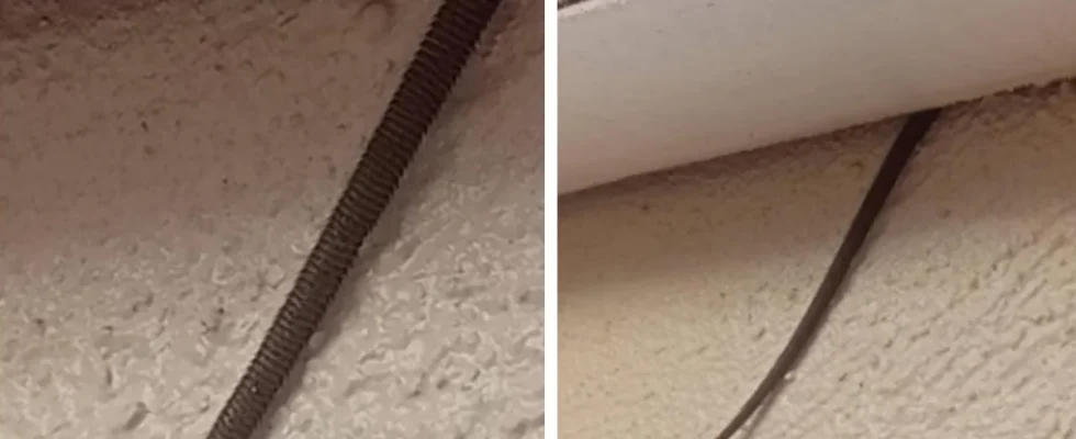 Online user finds creepy object hanging from ceiling